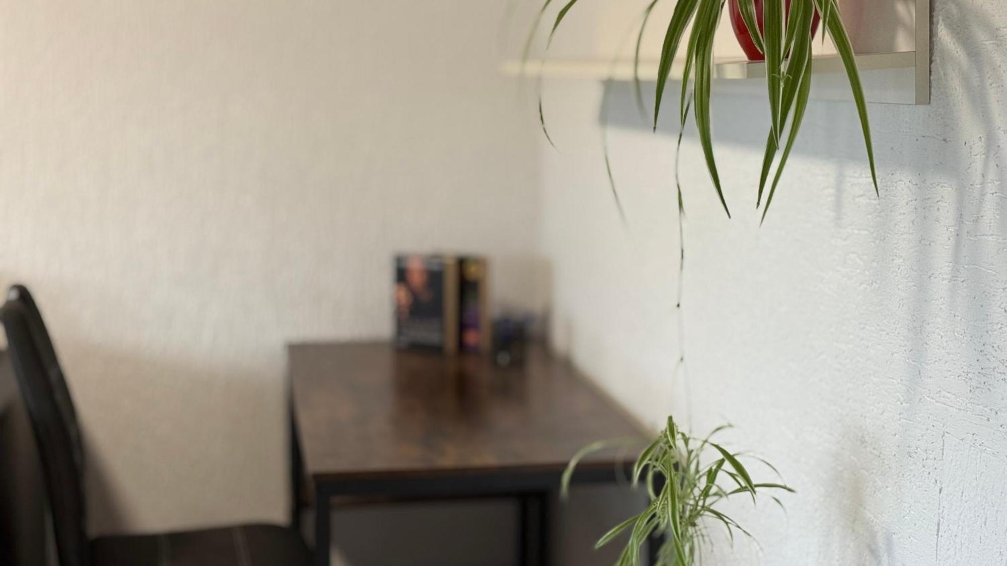 Gemuetliche 2 Zimmer Wohnung باد هيرسفيلد المظهر الخارجي الصورة